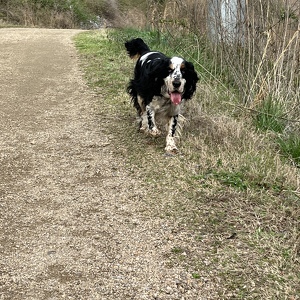 Fundraising Page: Janice Starr